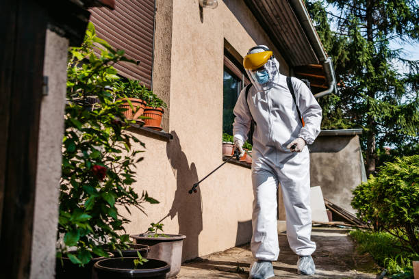 Best Best Pest Control Companies  in Stanfield, NC