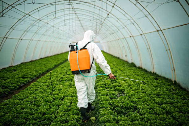 Best Affordable Pest Control Services  in Stanfield, NC