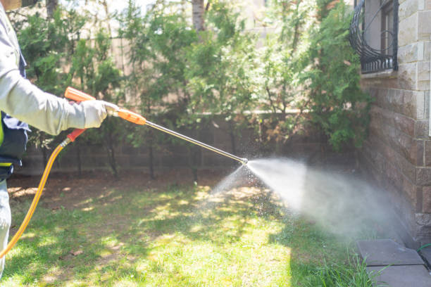 Best Flea Control Services  in Stanfield, NC