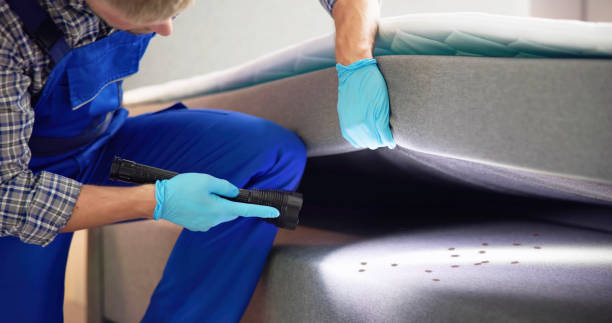 Best Emergency Pest Control  in Stanfield, NC