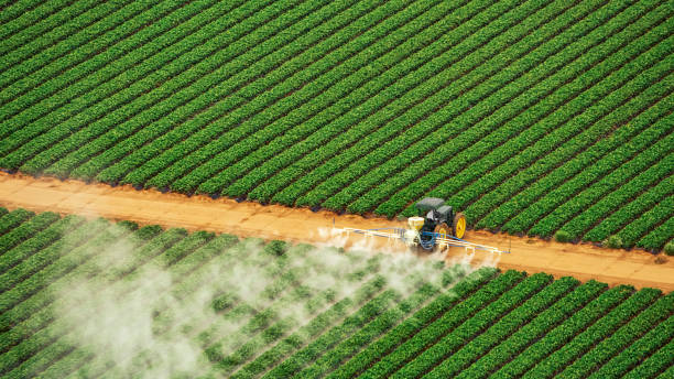 Best Pest Prevention Services  in Stanfield, NC
