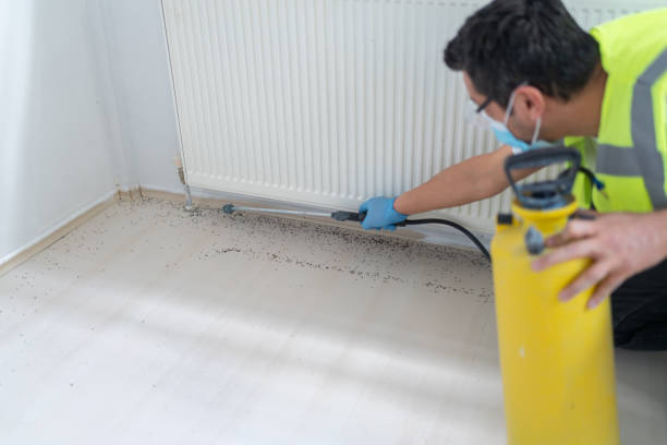 Best Local Pest Control Services  in Stanfield, NC