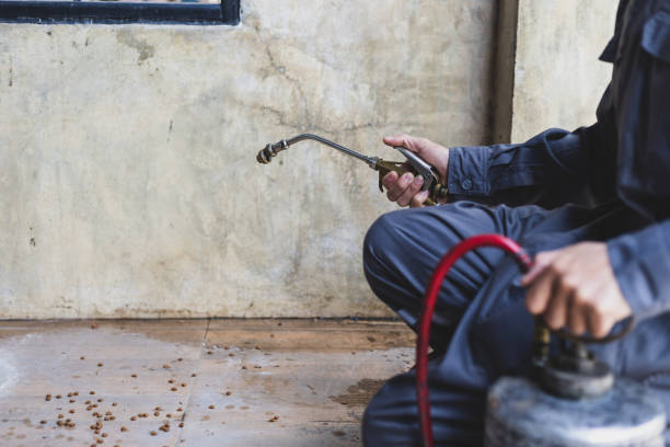 Best Pest Control Near Me  in Stanfield, NC