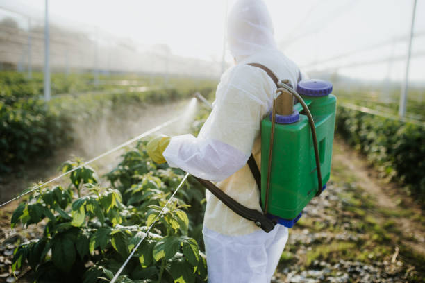 Best Pest Removal Services  in Stanfield, NC